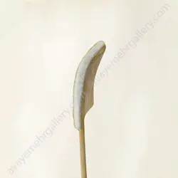 مضراب سنتور باربد (یک مهر)