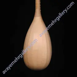 تنبور سلطان