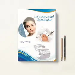 آموزش صفر تا صد میکرونیدلینگ