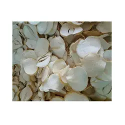 پودر موسیر بسته ی 5 تایی