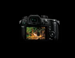 دوربین دیجیتال DMC-GH5S پاناسونیک | آژند سرویس