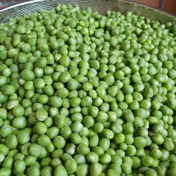 نخود فرنگی
