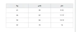 تیشرت پسرانه برند D-H&M