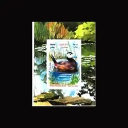 10080 – مجموعه سالانه 1398 (یادگاری و اختصاصی)