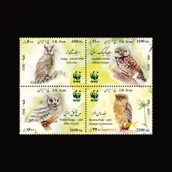 3278 – جغدهای بومی ایران (بادندانه)