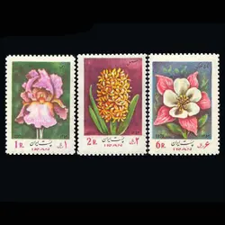 1652 – سری گل (2) 1352