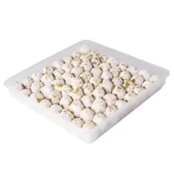 قطاب ممتاز یک کیلویی