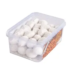 قطاب ممتاز طرح شفاف