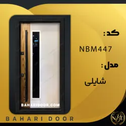 درب ضد سرقت مدرن مدل شایلی کد NBM447