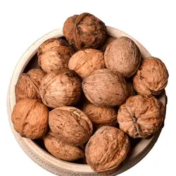 گردو ایرانی1402بسته 10 کیلویی