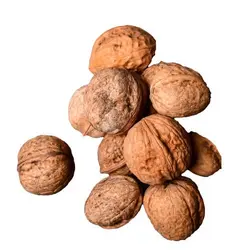 گردو ایرانی1402بسته 10 کیلویی