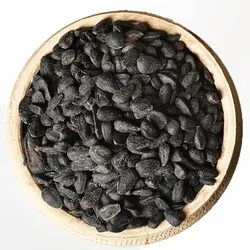 تخمه سیاه روغنی