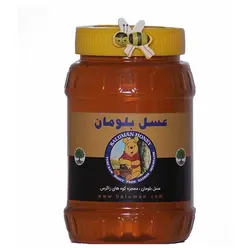 عسل ۱ کیلویی کوهستان - بلومان