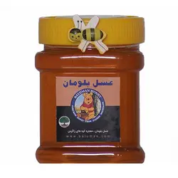 عسل نیم کیلویی آویشن - بلومان