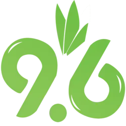 قاشق مربا خوری سرامیک گل رز