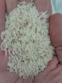 برنج فجر ۹۰۰گرمی بامرایس