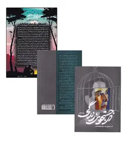 در جست و جو خوشبختی اثر پونه غلامی