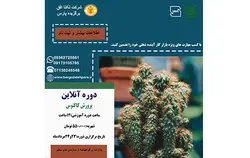 دوره آنلاین پرورش کاکتوس - شرکت تکتا افق برگزیده پارس