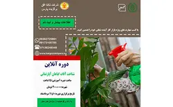 دوره آنلاین شناخت آفات گیاهان آپارتمانی - شرکت تکتا افق برگزیده پارس