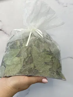 برگ بو