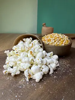 دانه ذرت پاپ کورن برزیلی