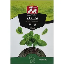سبزي نعناع 50 گرم برتر