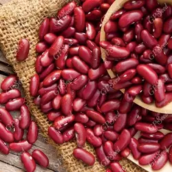 لوبيا قرمز قلمي