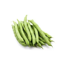 لوبیا سبز درجه یک