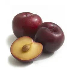 آلو سیاه درجه یک