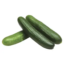 خیار سبز درجه یک