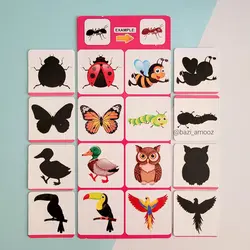 بازی فکری سایه بازی