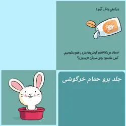 کتاب برو حمام خرگوشی