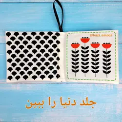 پک سیاه و سفید نوزادی