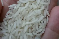 برنج ایرانی | برنج هاشمی درجه 1 آستانه اشرفیه