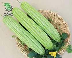 بذر خیار چنبر تلخ | کدو تلخ چینی | Momordica charantia