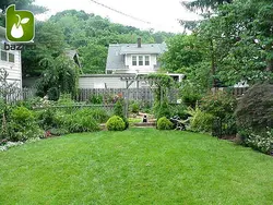 بذر (تخم) چمن با قیمت کم و مناسب