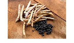 بذر لوبیا سیاه ارگانیک | black-bean seed