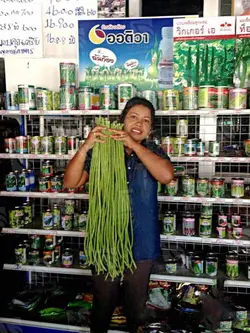 بذر لوبیا سبز غلاف بلند رقم  سن سووان | SENSUWAN YARD LONG BEAN