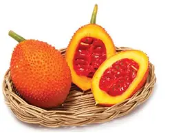 بذر میوه گاک فروت یا کدو خاردار | Gac Fruit