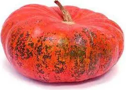 بذر کدو تنبل قرمز نارنجی سیندرلا | تخم کدو حلوایی