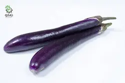بذر بادمجان کشیده قلمی ژاپنی (Eggplant Long black)