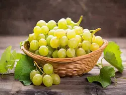 انگور سفید بی دونه