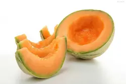 دستنبو