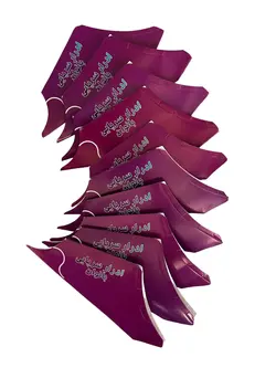 ابزار ادرار سرپایی بانوان بهینا LSWC10 عددی