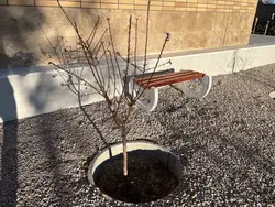 نیمکت ساحلی