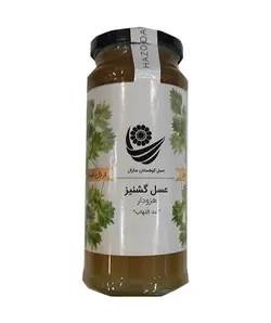 عسل گشنیز 450 گرمی