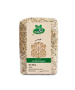 عدس