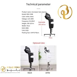 مایکرومیست 8 لایت اوزون تراپی مو Micromist