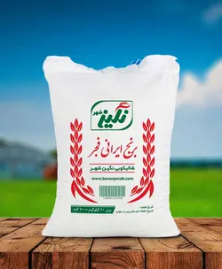 برنج فجر نگین شهر