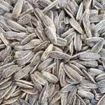 تخمه كانادایی شور خوش پخت فله
